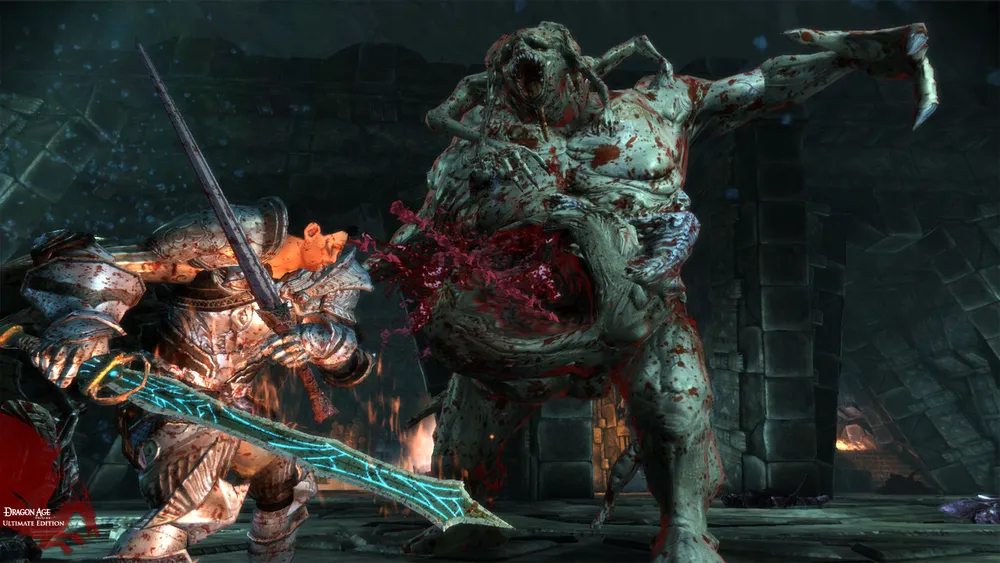 An armored warrior strikes a large ogre in an official Dragon Age Origins combat screenshot.